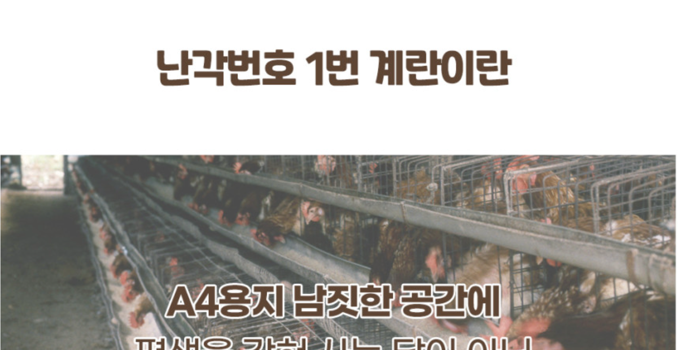 상품 상세