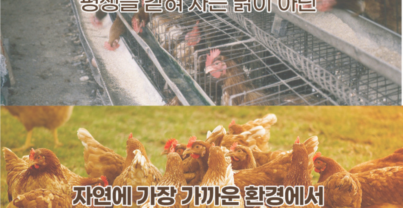 상품 상세