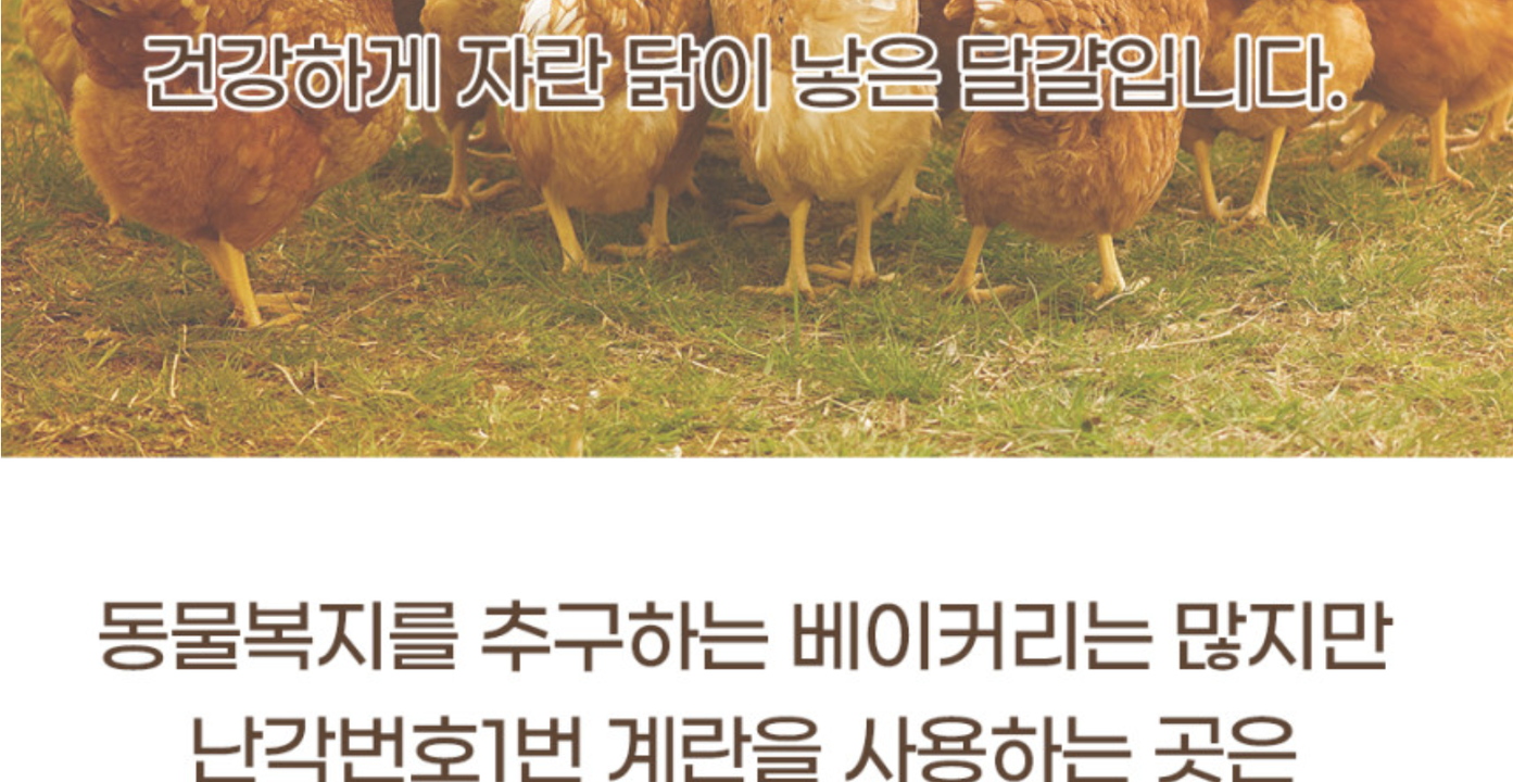 상품 상세