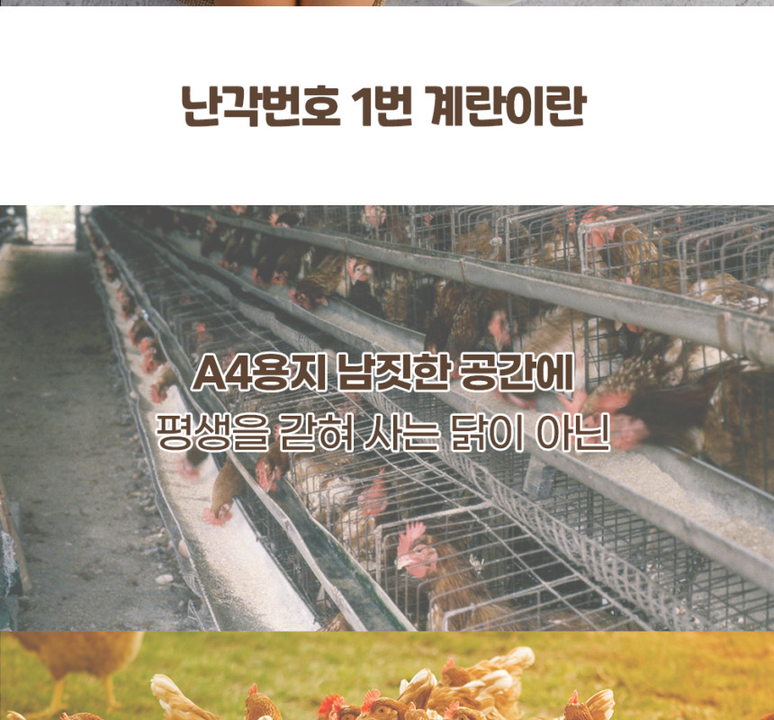 상품 상세