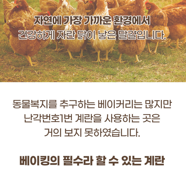 상품 상세